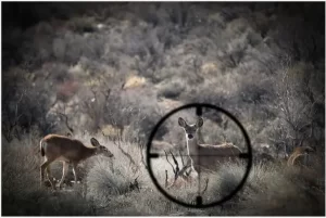 Hunting Rangefinders