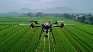 Agricultural Ranging Sensor