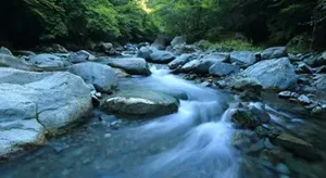 Laser Distance Sensors for Outdoor